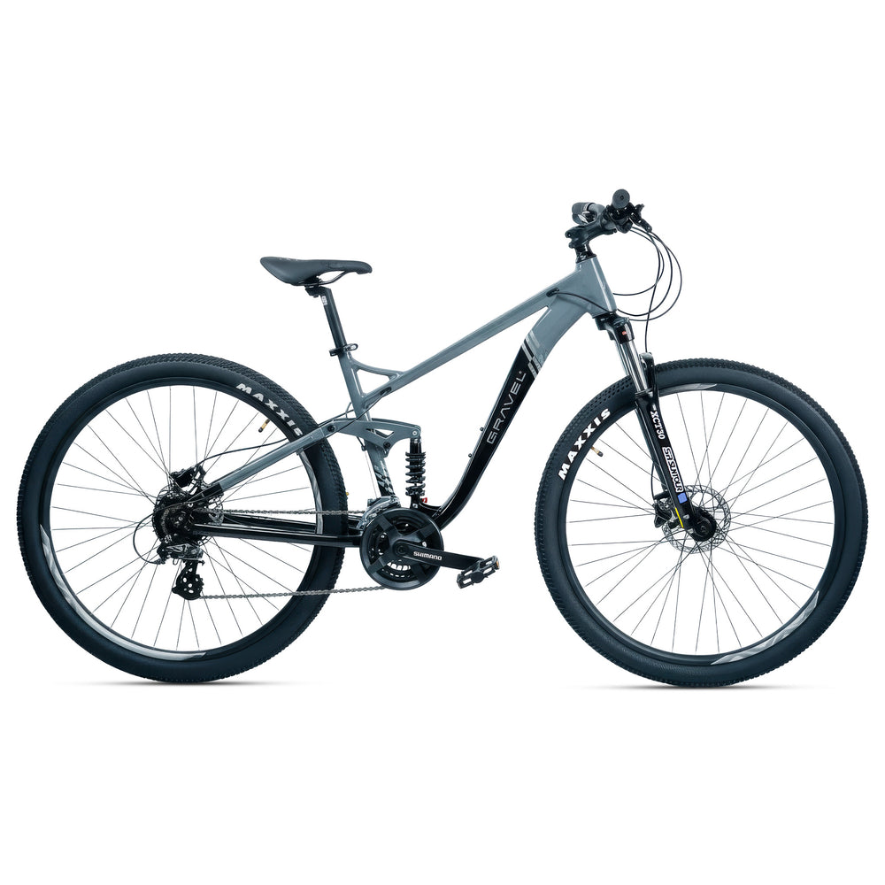 FUJI 29