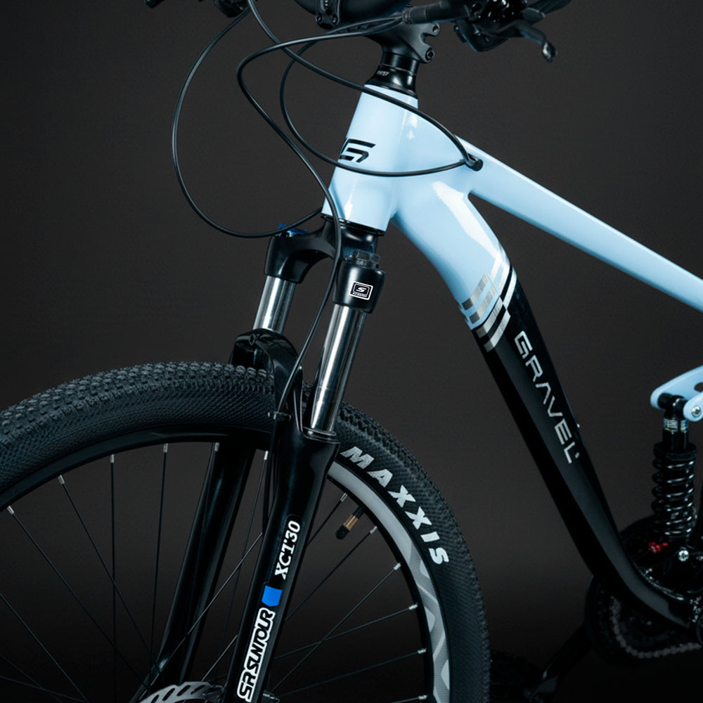 FUJI 29