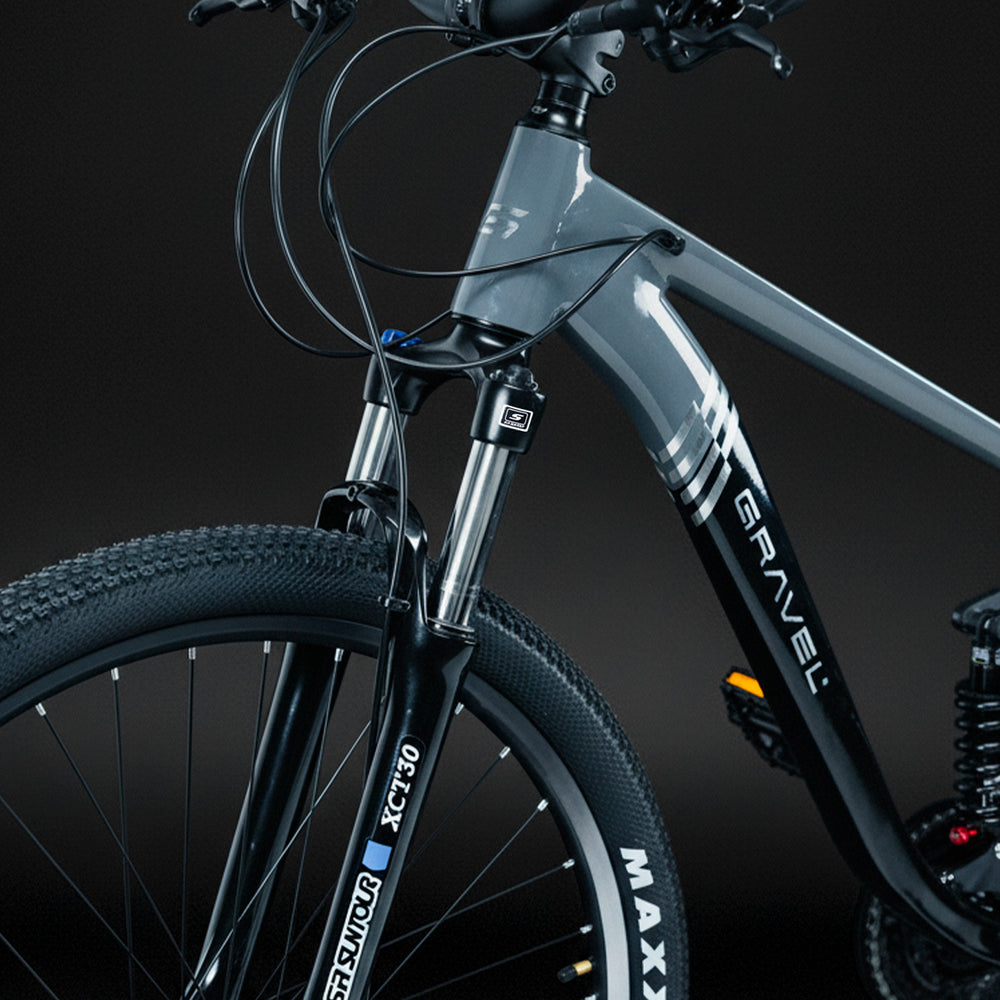 FUJI 29