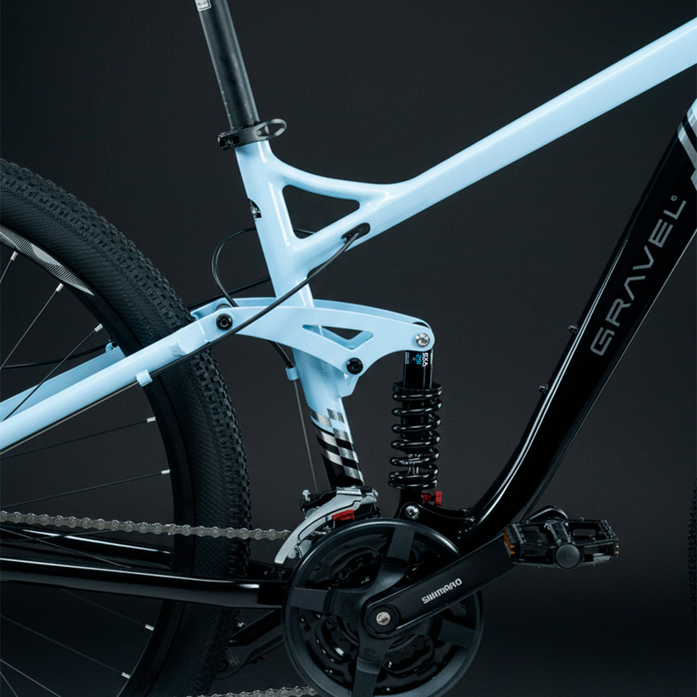 FUJI 29