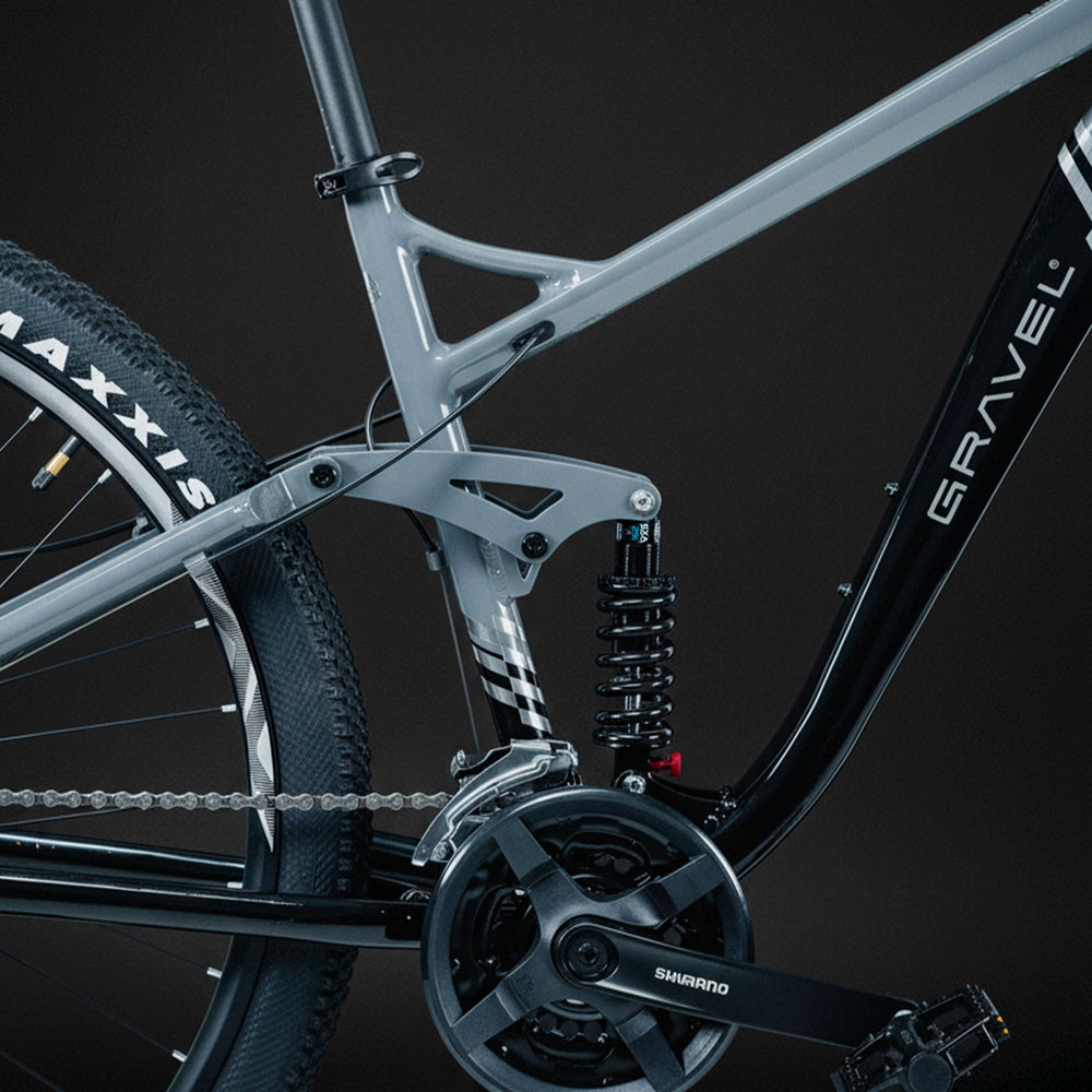 FUJI 29