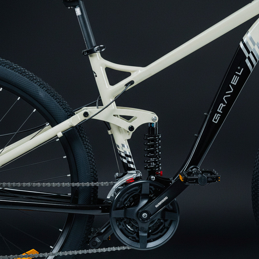 FUJI 29