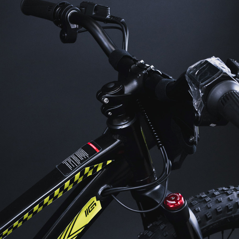 BICICLETA CROSS