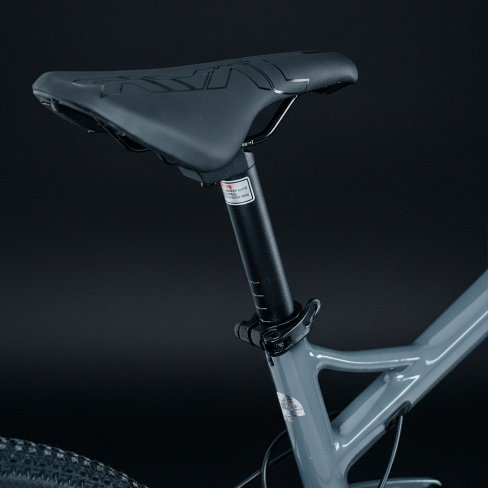 FUJI 29