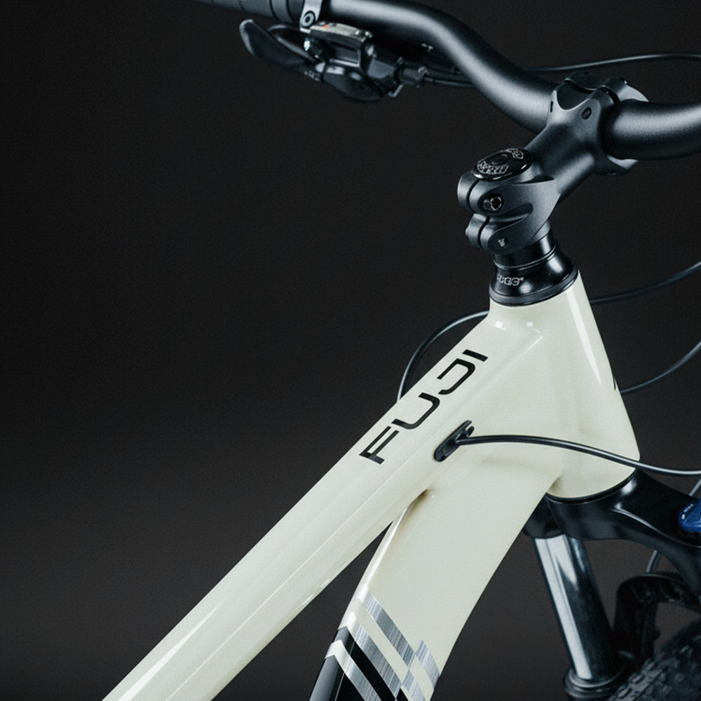 FUJI 29