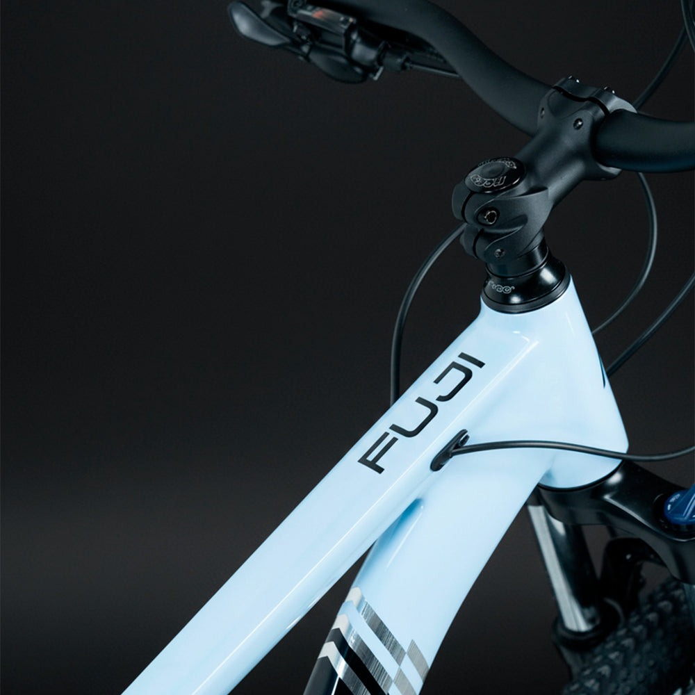 FUJI 29