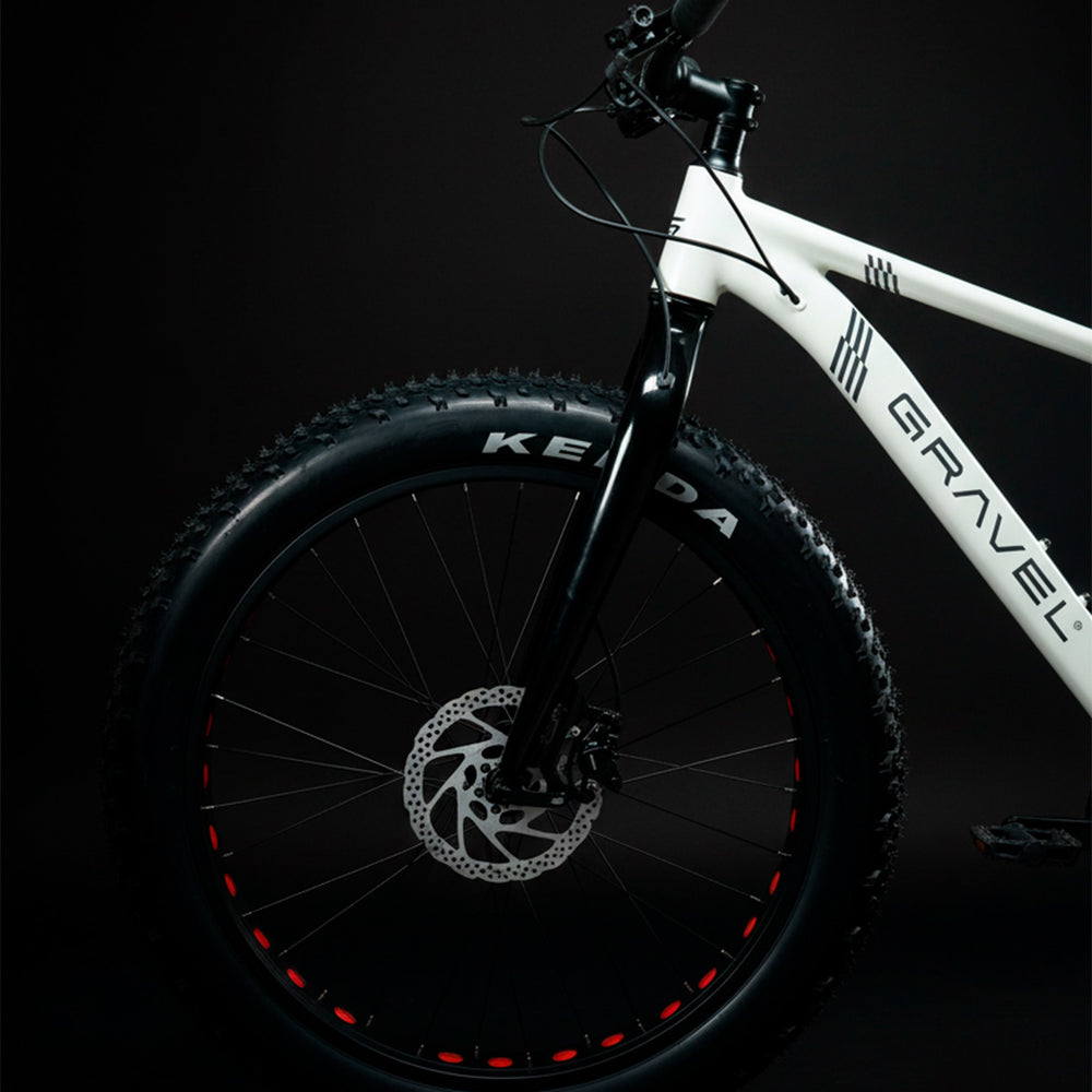 TRITON
