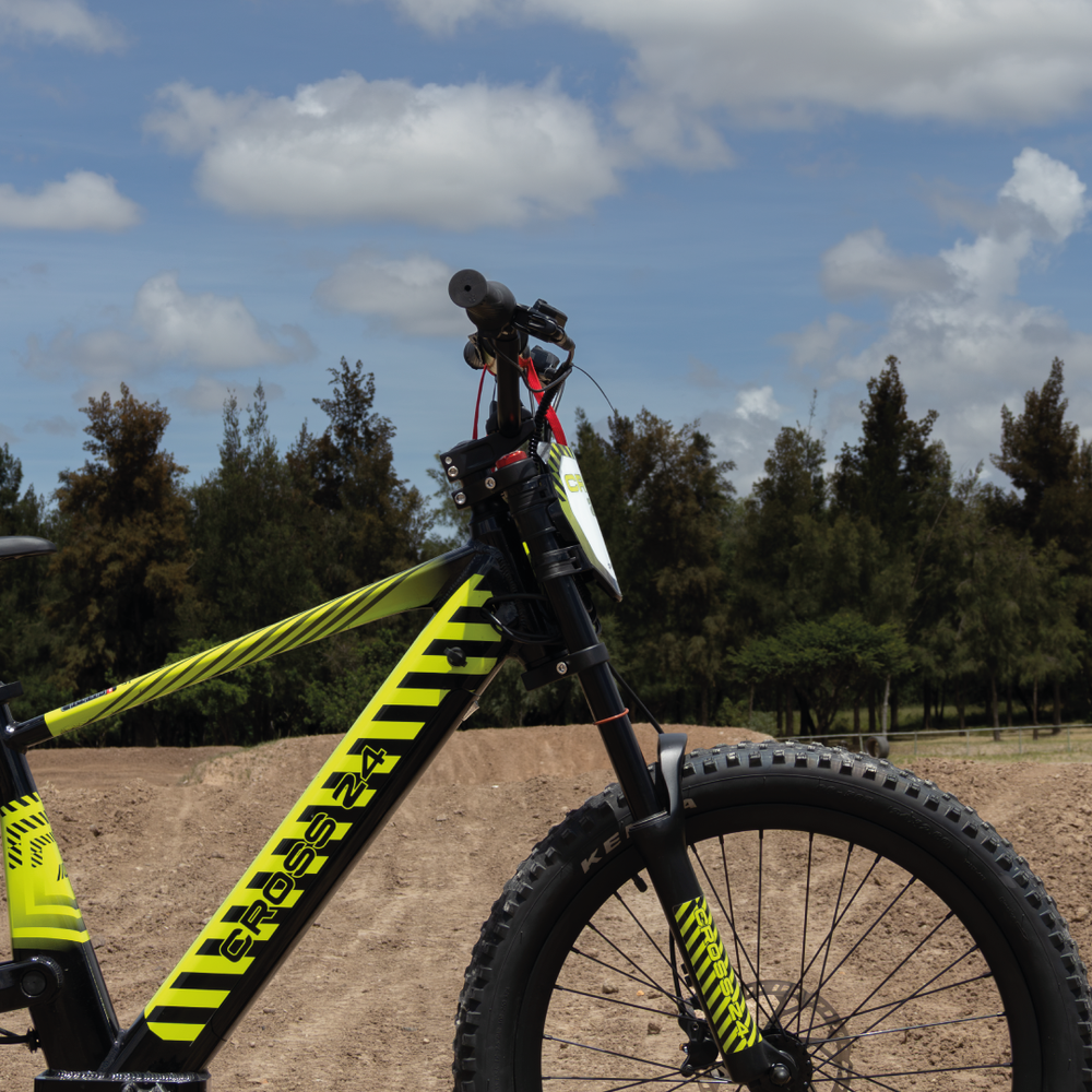 BICICLETA CROSS