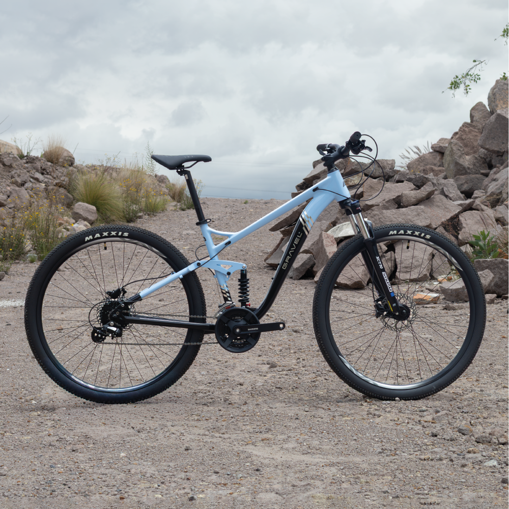FUJI 29