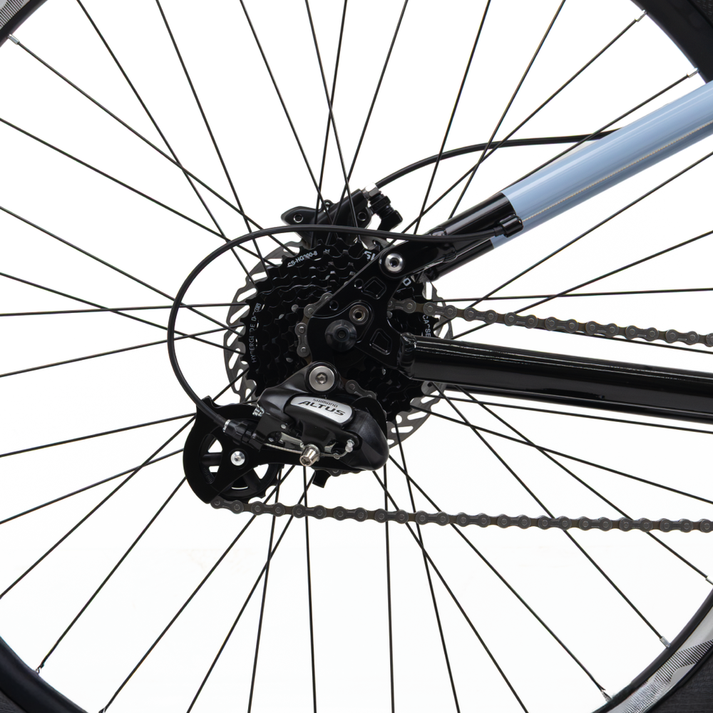 FUJI 29