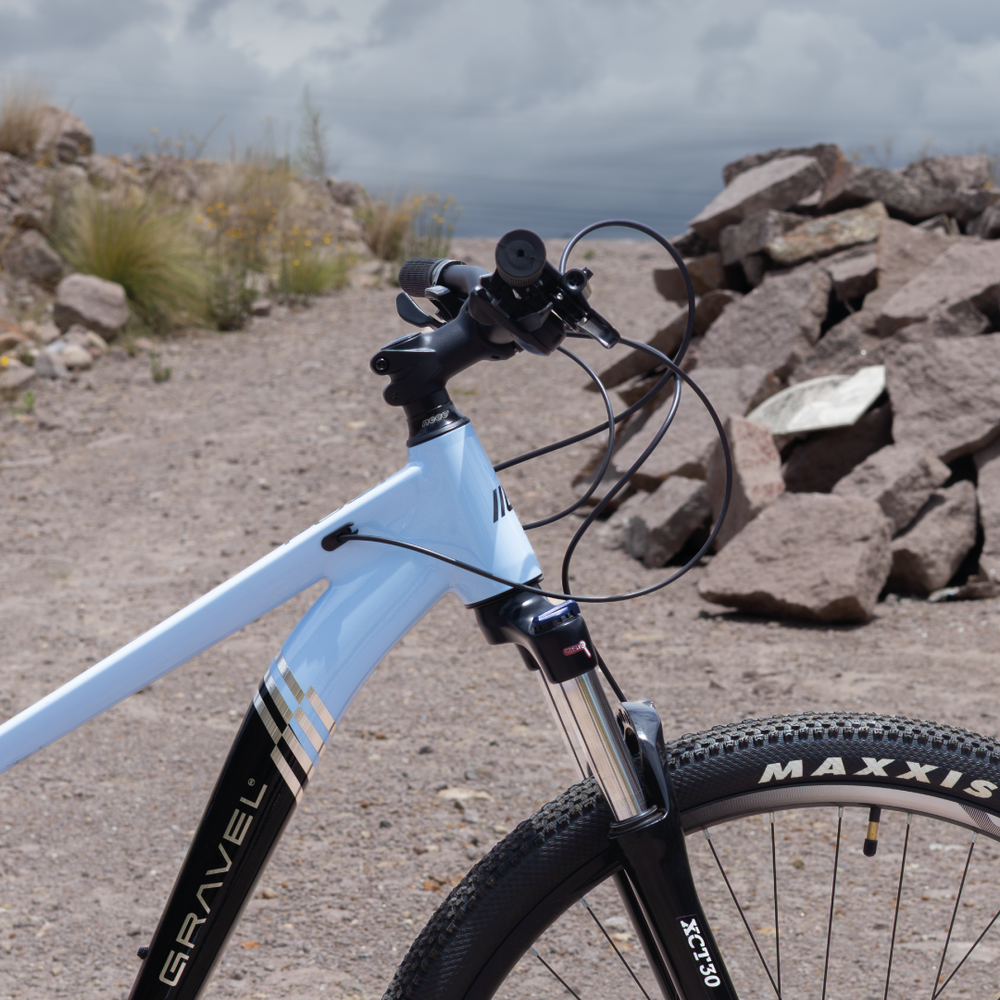 FUJI 29